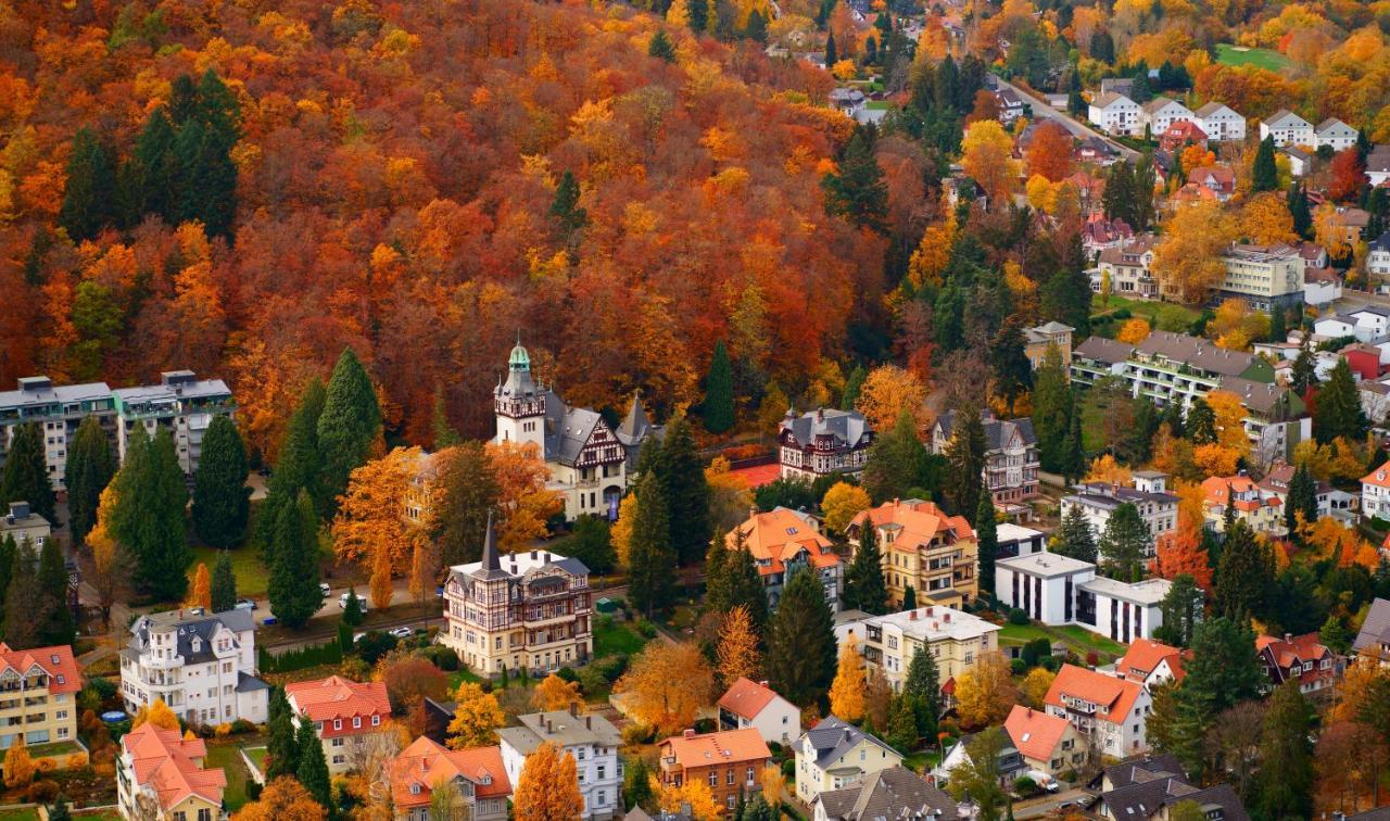 Fewo Harzgipfel Mit Dampfdusche #Innestadtnaehe#Netflix Von Harztraveler Bad Harzburg Exteriör bild